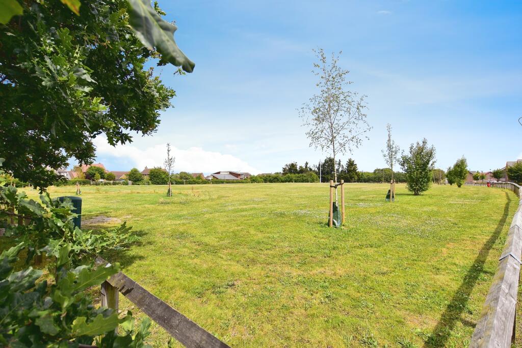 Surrounding Green Space