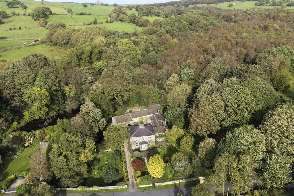 Aerial Shot