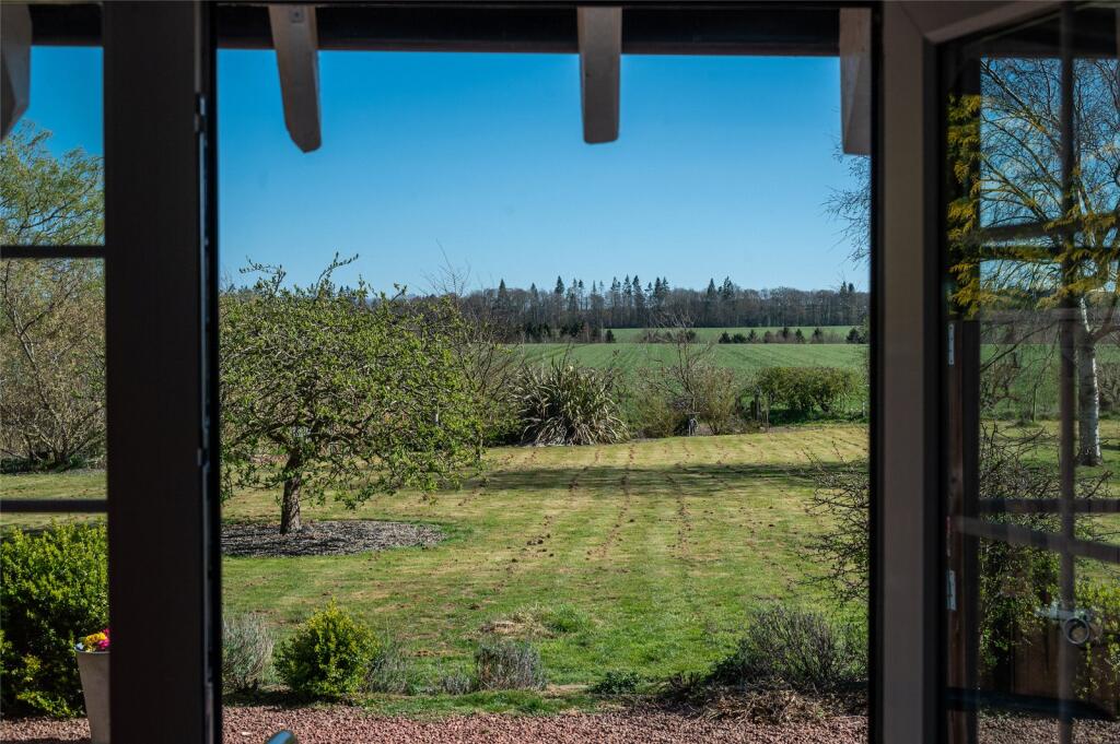 View To Garden