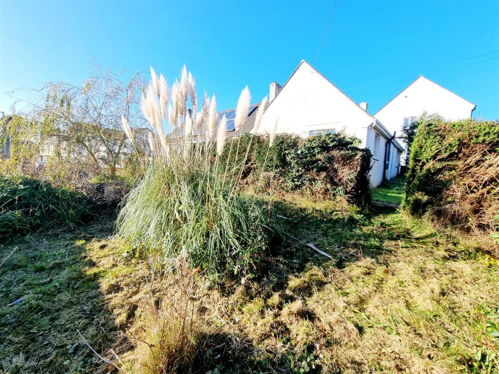 Extended garden 1.jpg