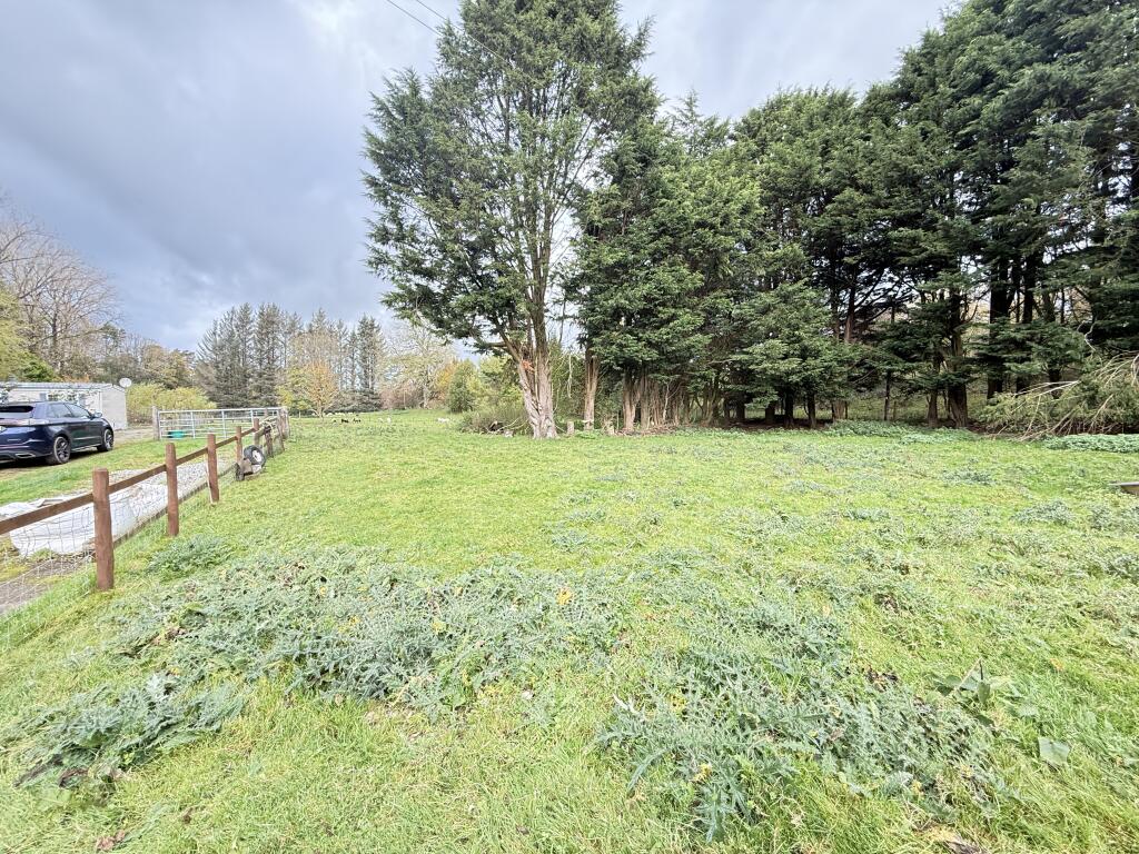 IMG 1750 T202510301648.jpg