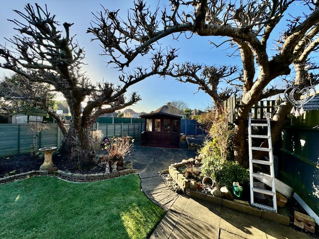 Apple Trees &amp; Tree House