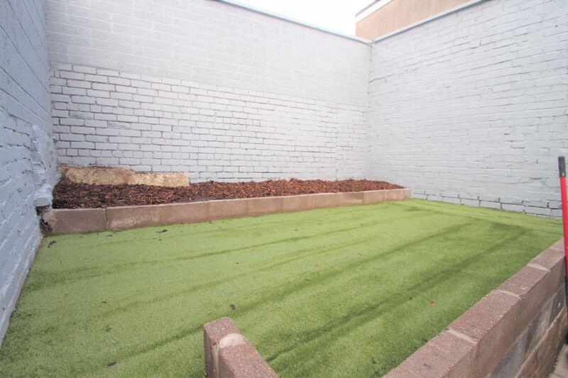 Rear garden