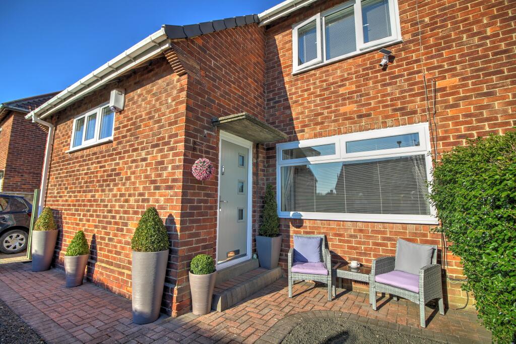 IMG_3027_8_9_Optimizer