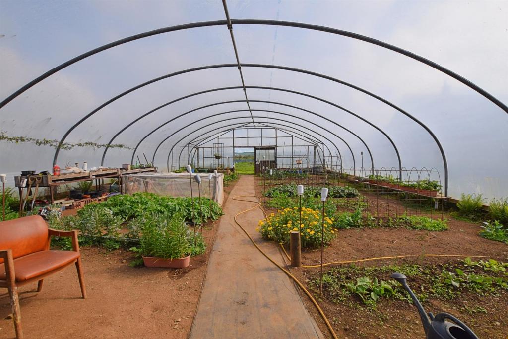 Polytunnel