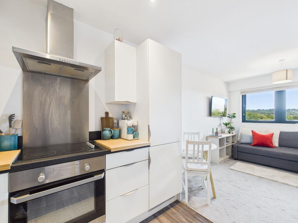 Kitchen/Living Area