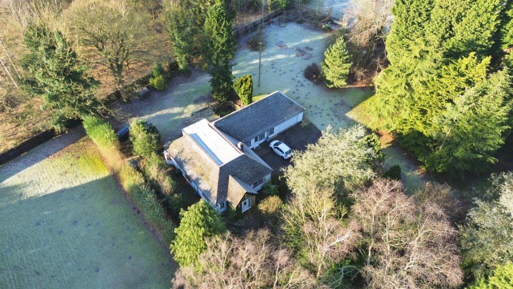 DJI_0651.JPG