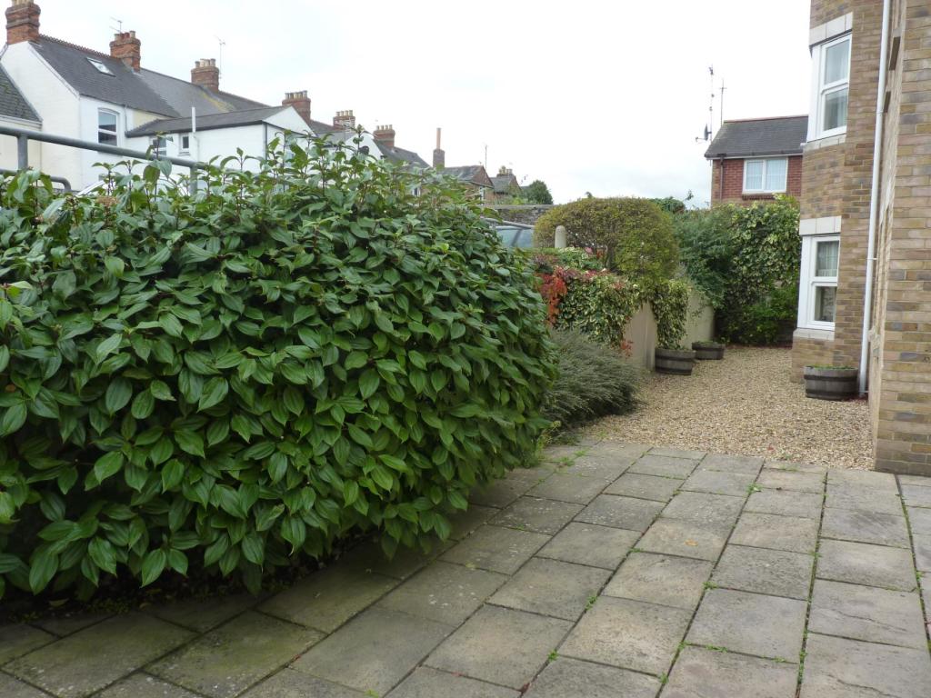 Outside Area