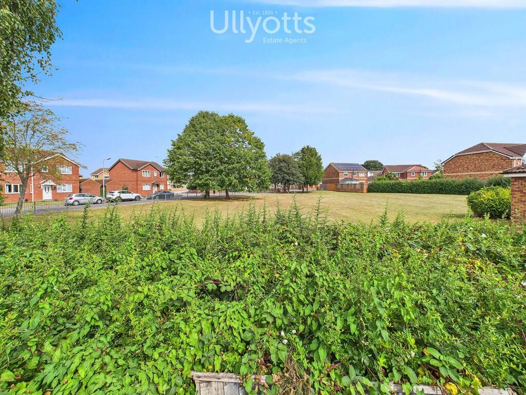 Attractive open g...