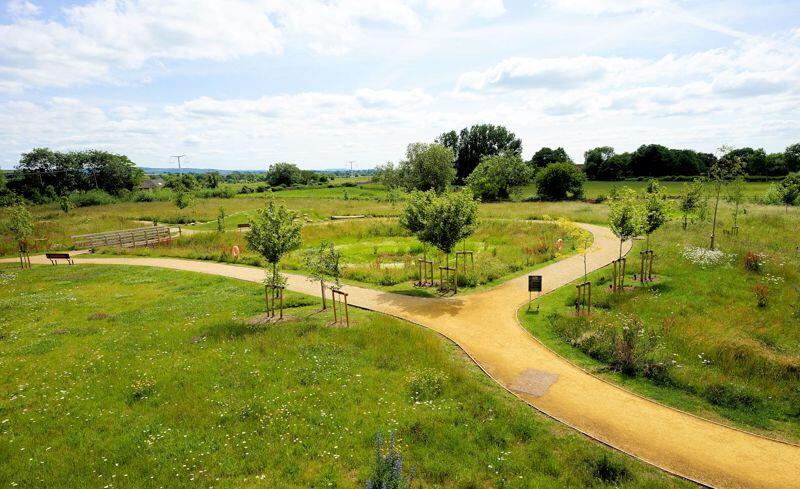 The view of The Meadow