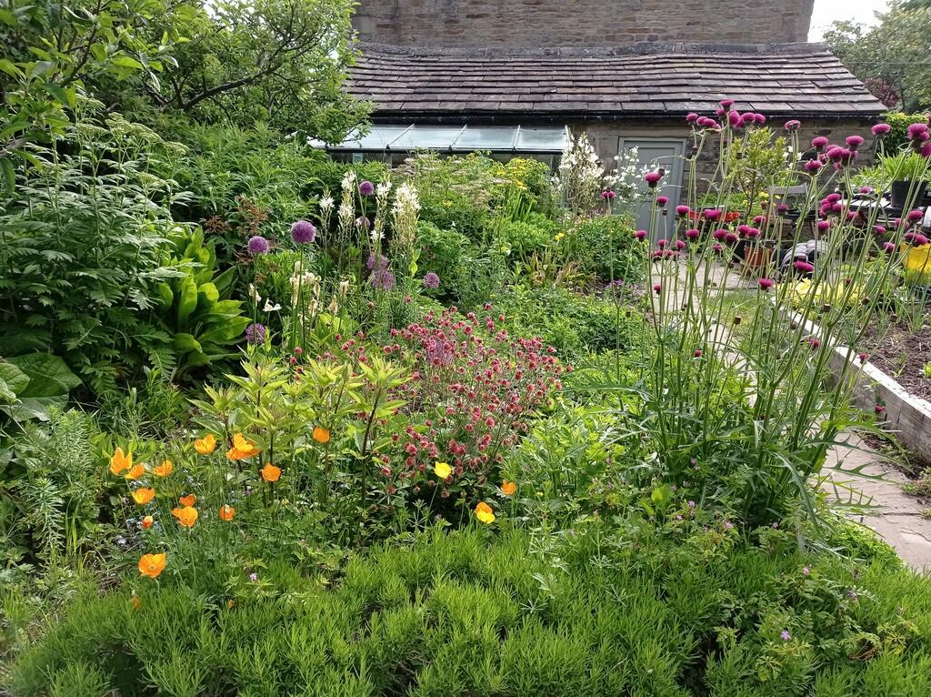 front garden to g...