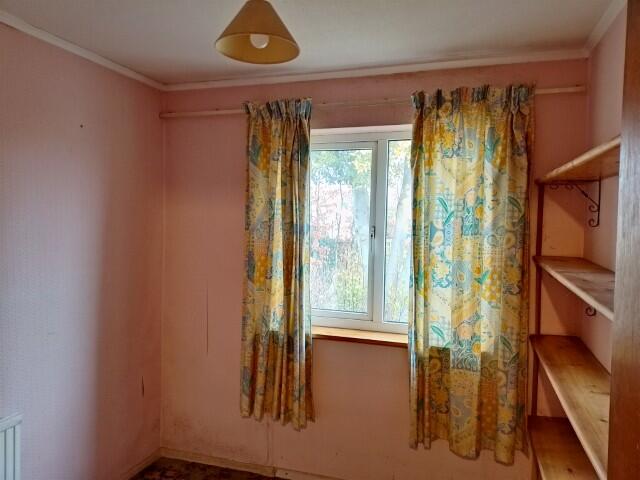 12  Small  T202502201336.jpg