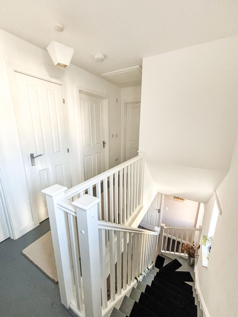 Luces Mead, Ashburton