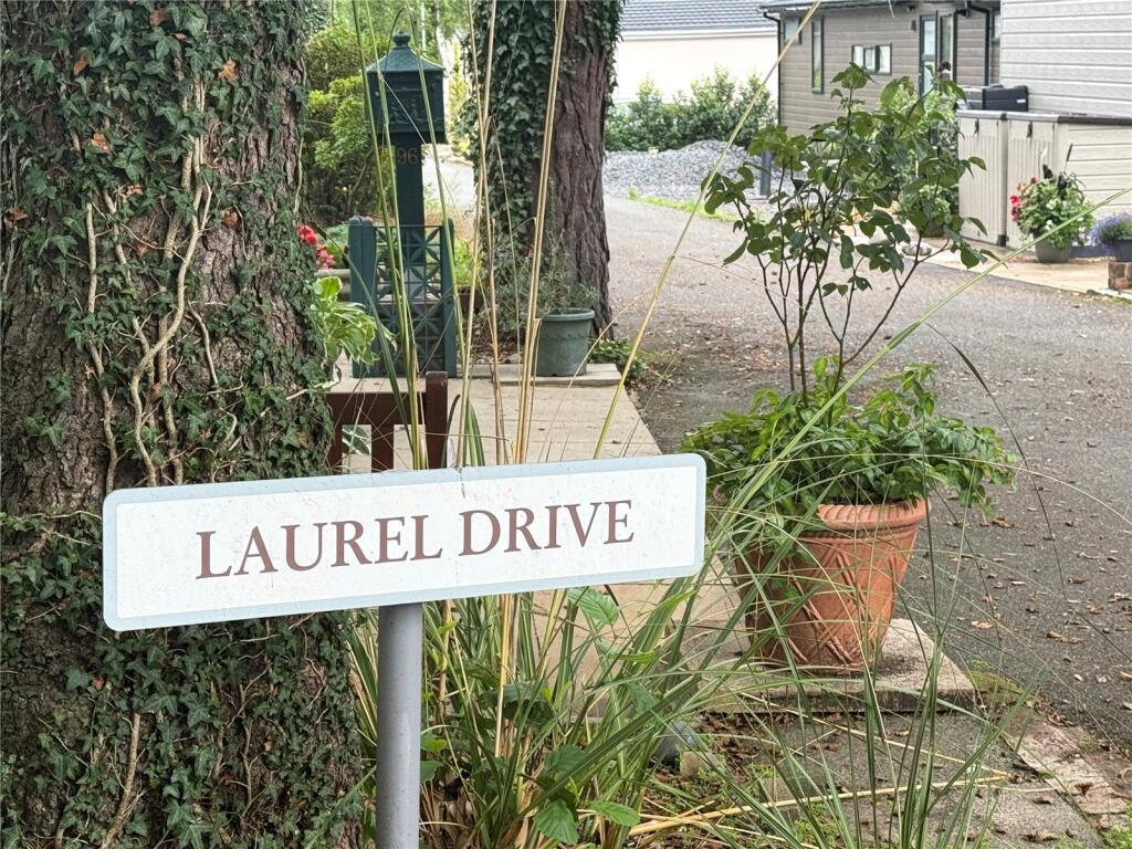 Laurel Ave