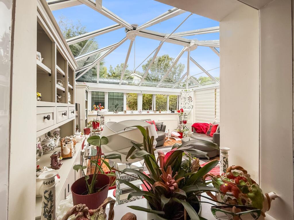 Summer Room