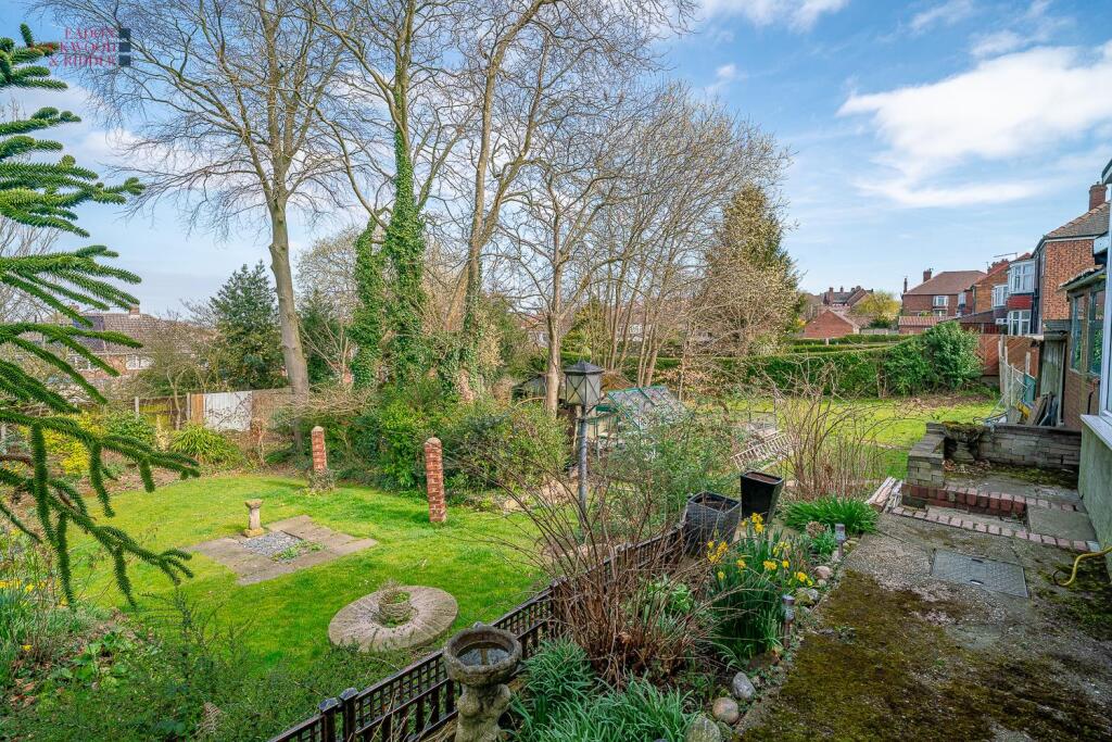 Back garden 1.1.jpg