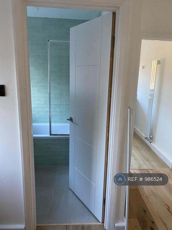 Bathroom &amp; Hallway