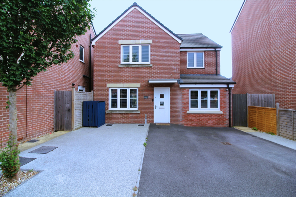 Untitled design (52)