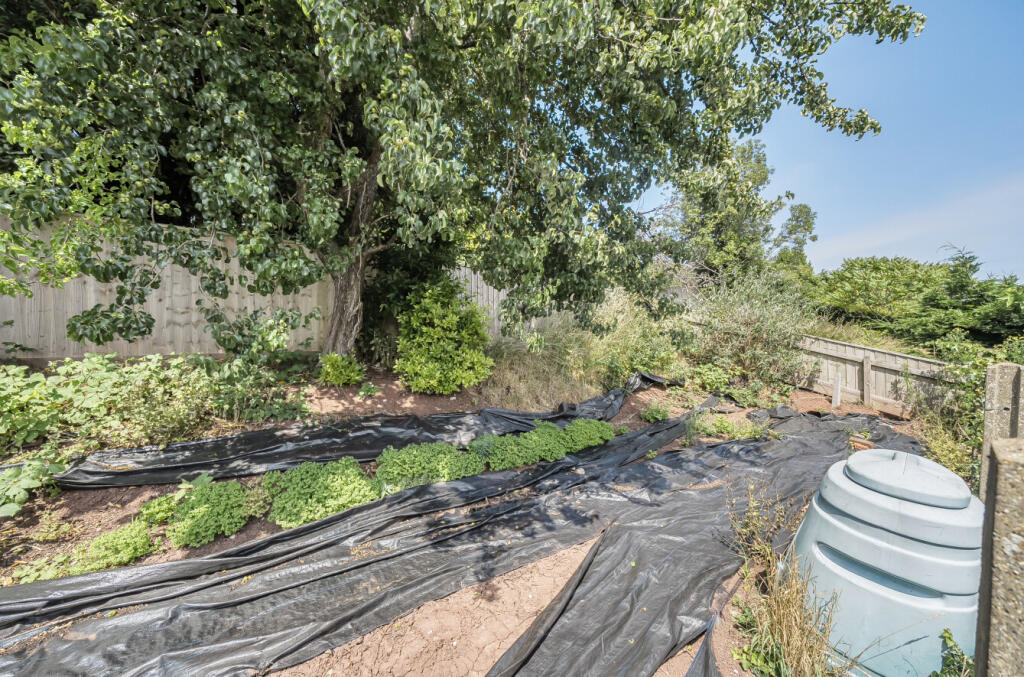 1318392-3-6862b3e...