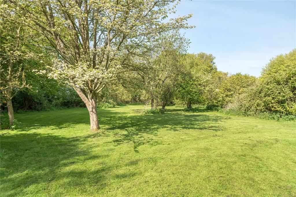 Orchard