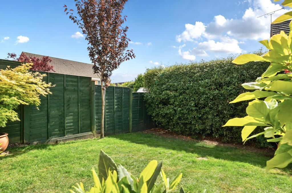 1297019-1-682c9b1335fb4-ARW.nef (1).jpg