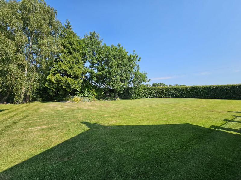 Side Garden
