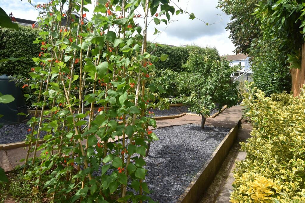 Vegetable Patch