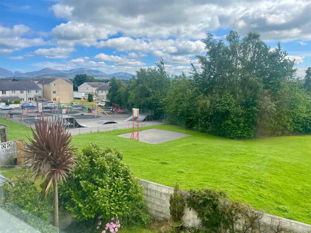 IMG_3157.jpg