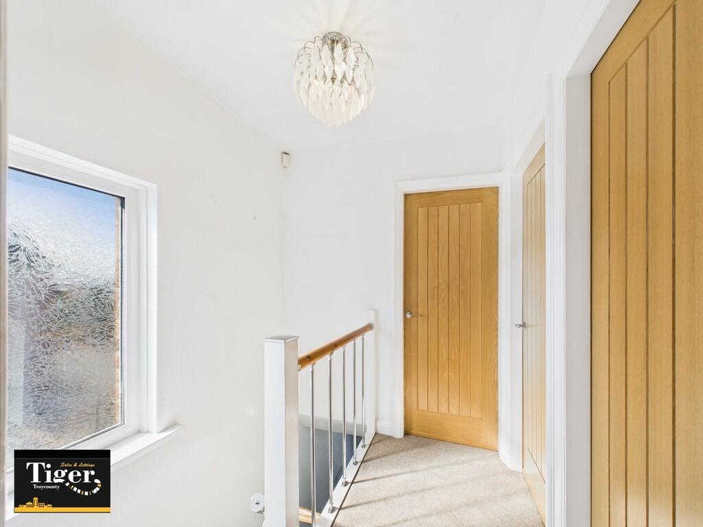 CAM02176G0-PR0534...