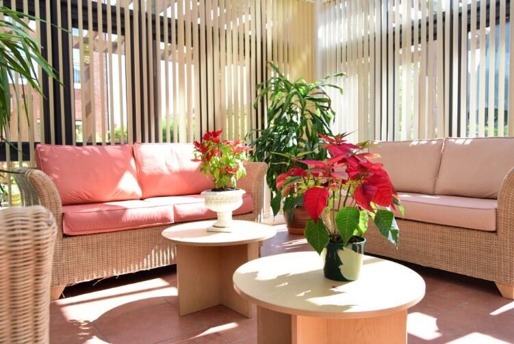 Winter garden