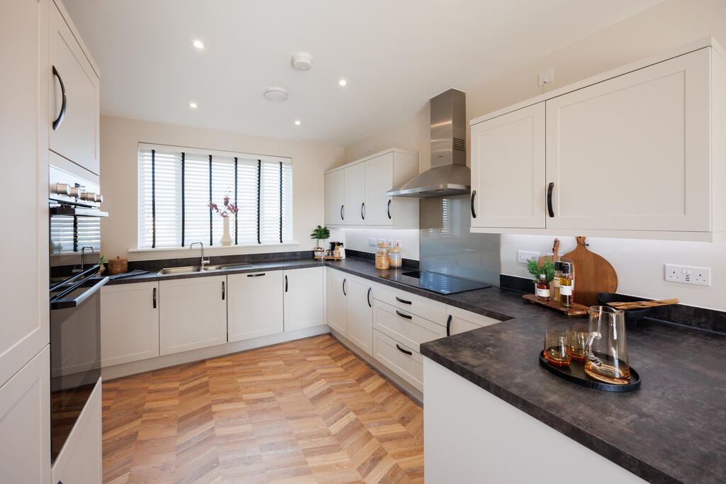 VDSW BH PASTURES CHESTNUT (8)