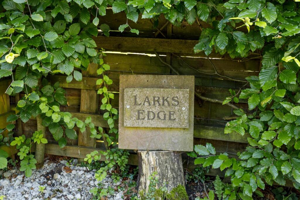 Larks_Edge_16.jpg