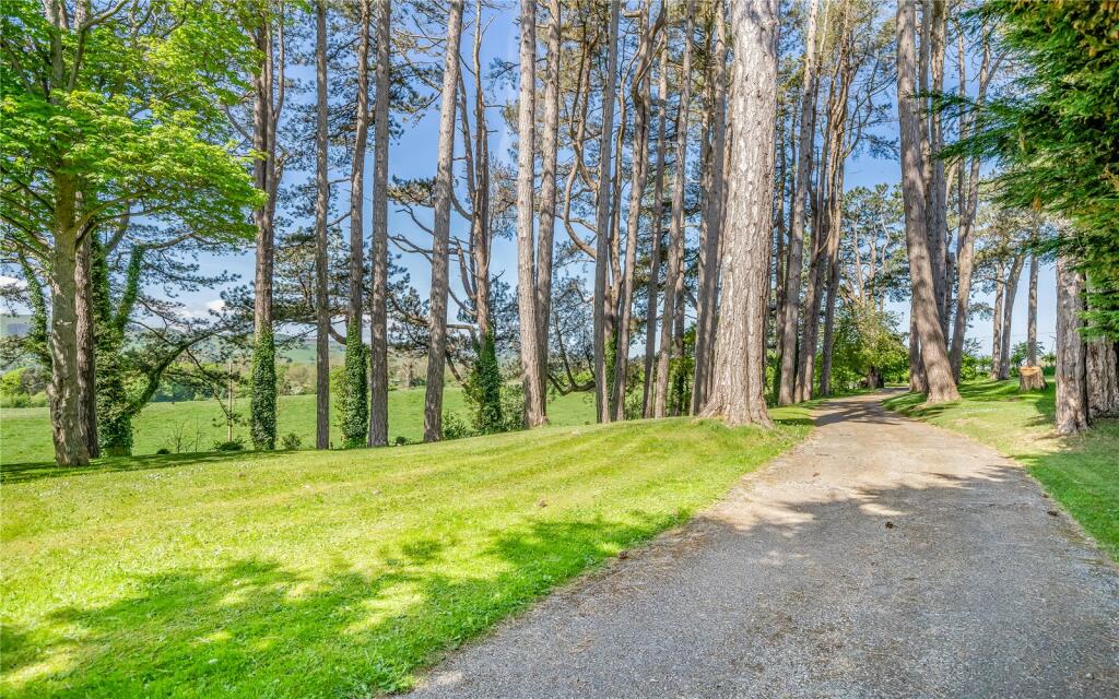 Grounds &amp; Driveway