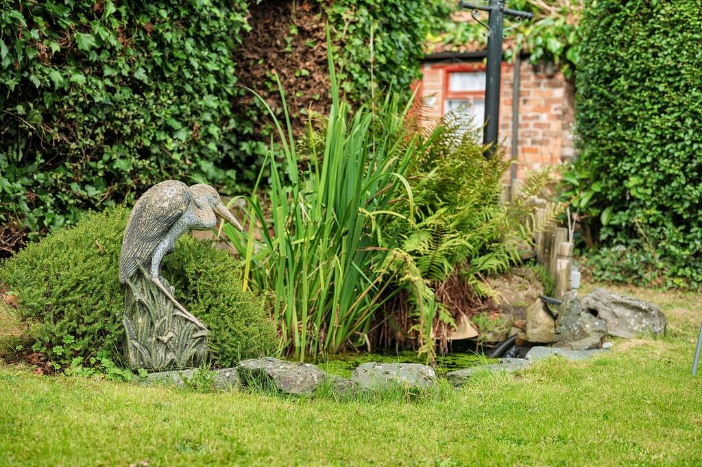 wattslane-27