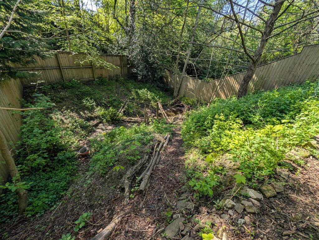 Back Garden 11.jpg