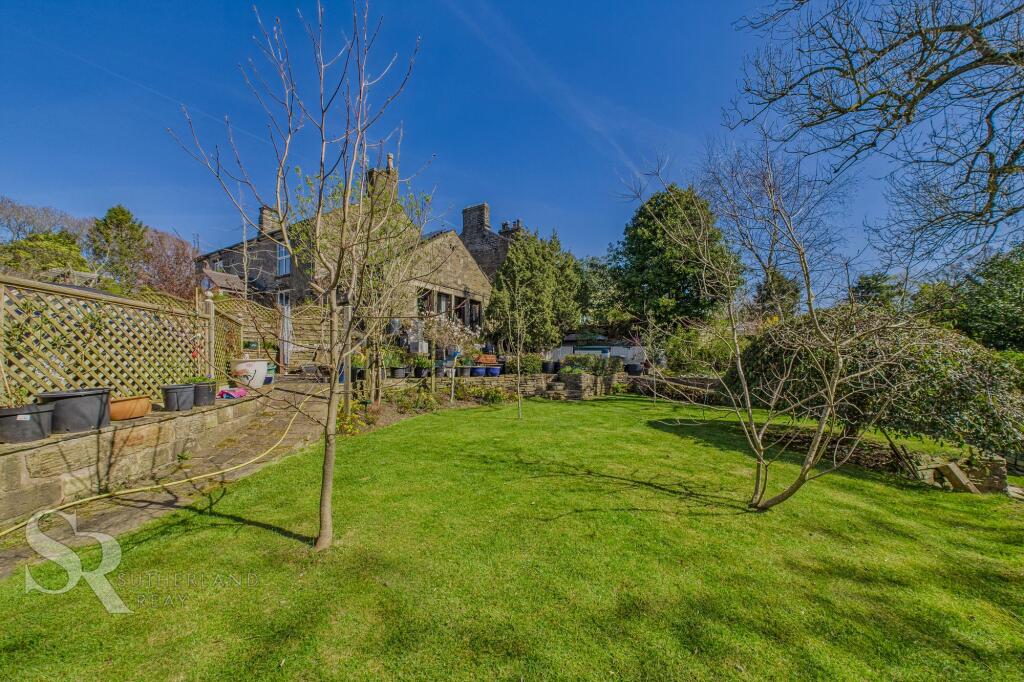Rear Garden - Lawns