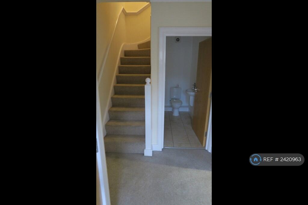 Downstairs Hallway