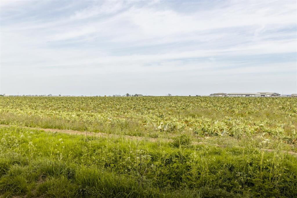 Rosedene (Wrangle)-1.jpg