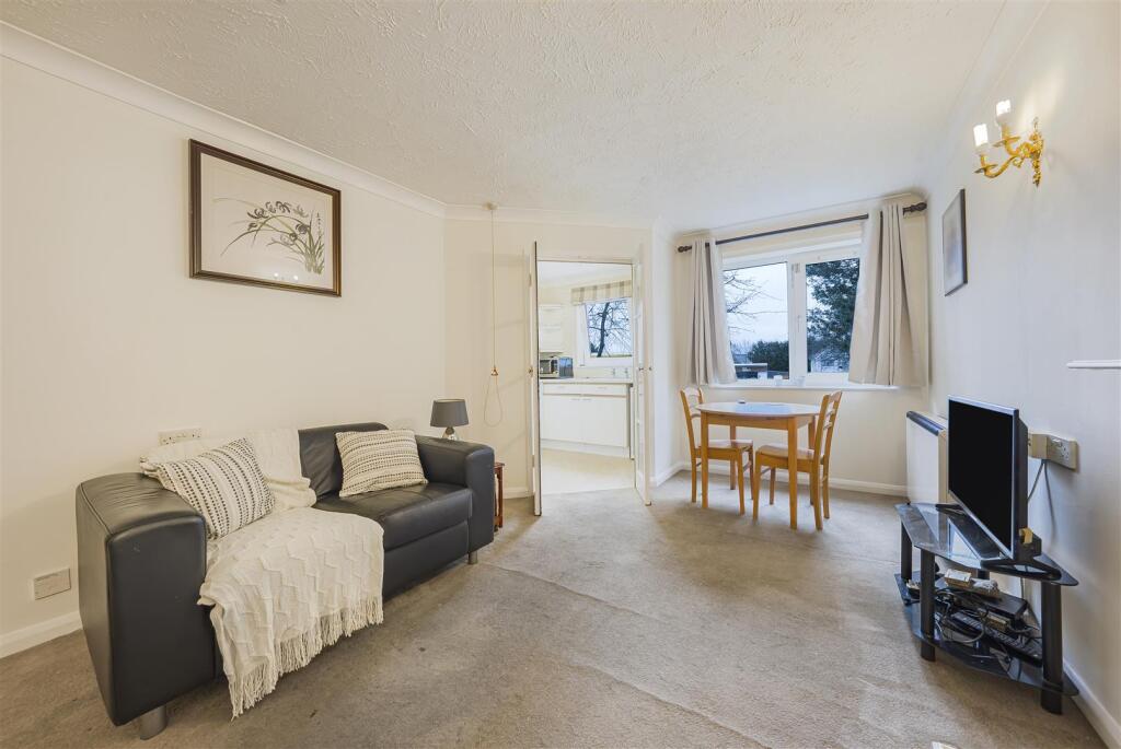 Photo Jan 16 2025, 2 18 25 PM.jpg