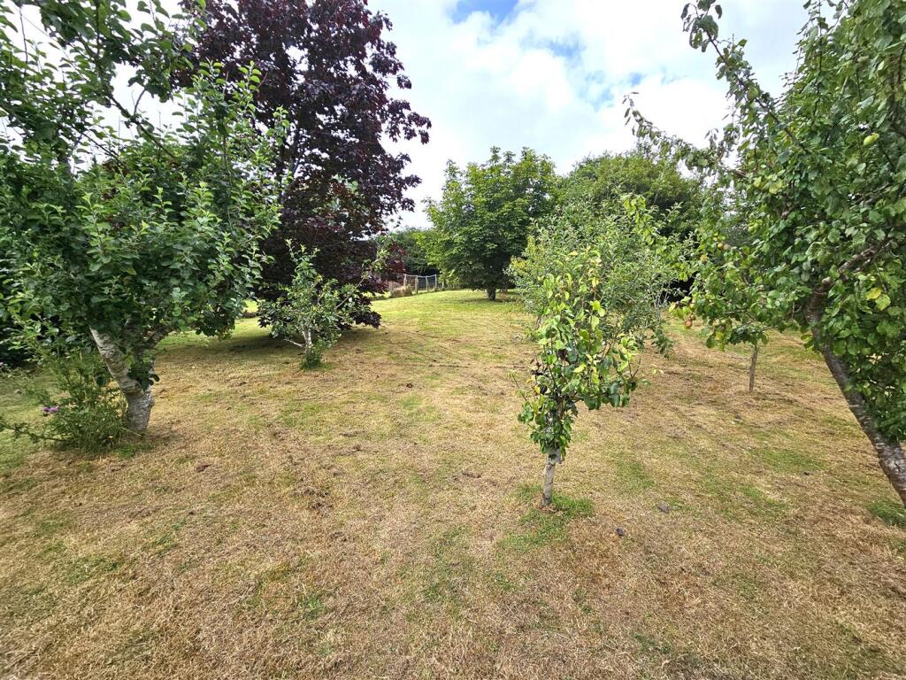 Gardens and Orchard.jpg