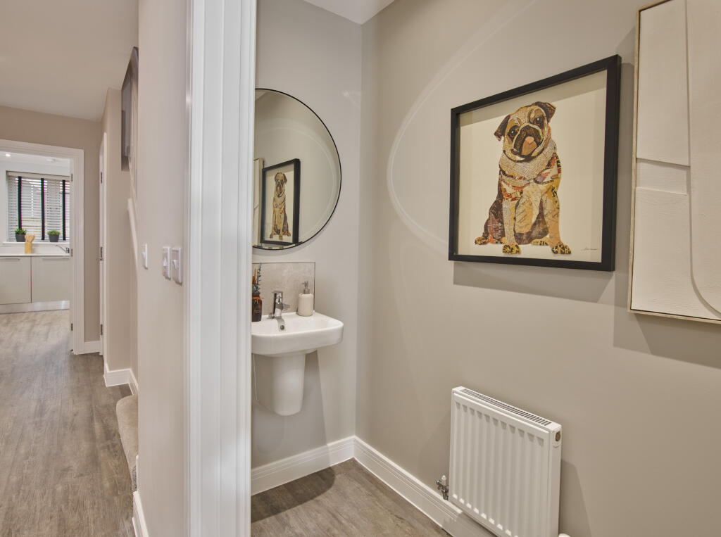 Showhome Photography