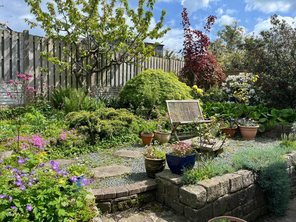 Back Garden
