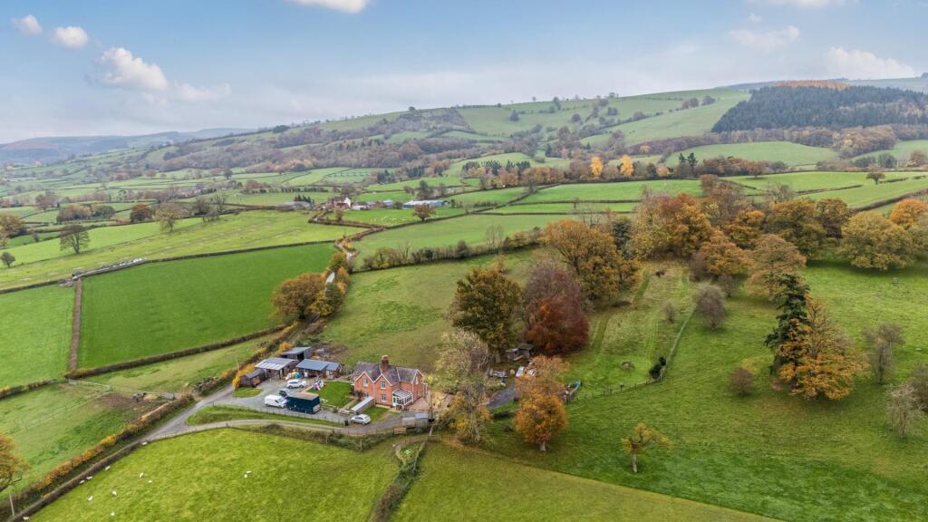 Elevated situation.jpg