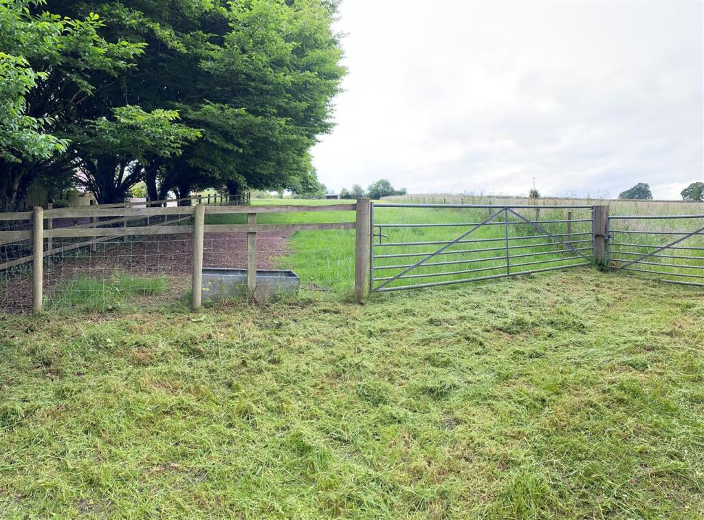 Paddock at Aller.jpg