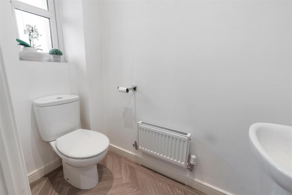 Small toilet.jpg