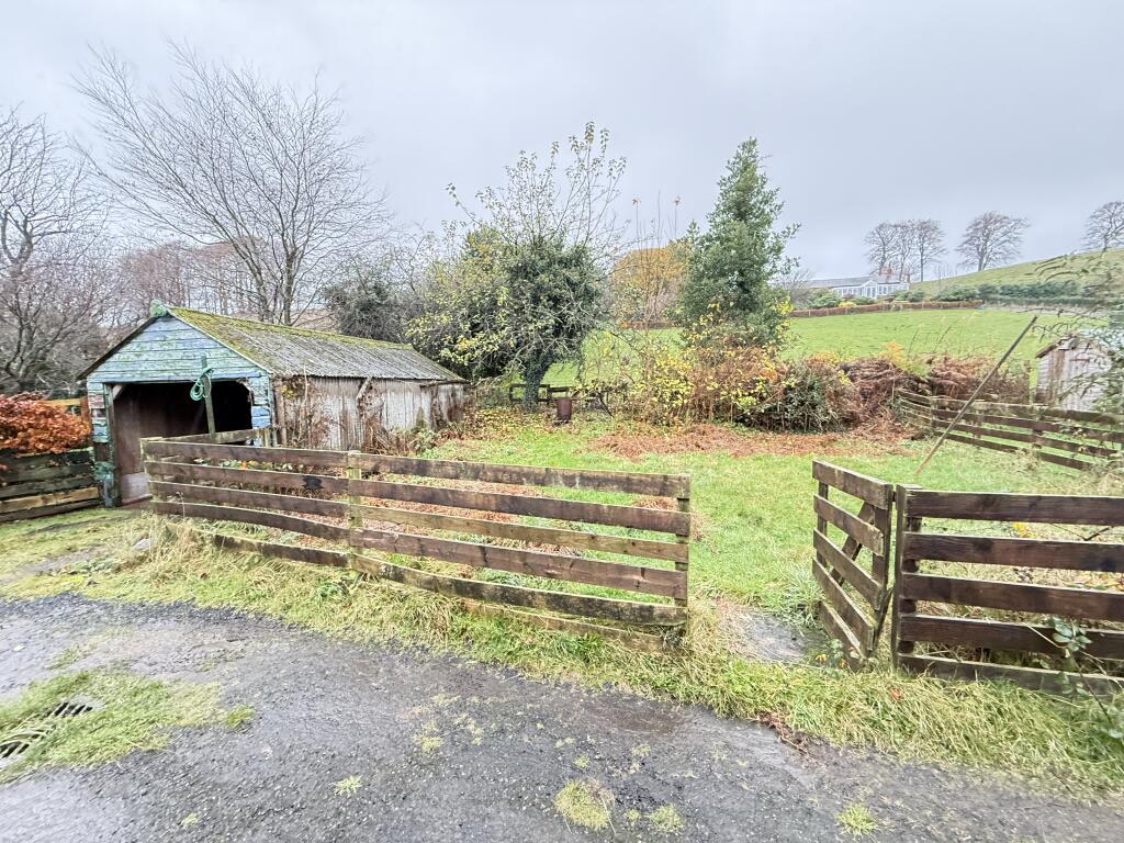 IMG 2028 T202511131557.jpg