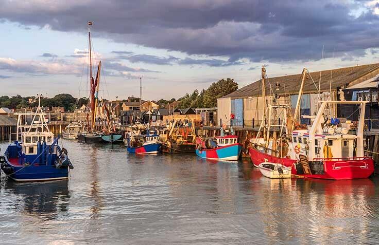 Whitstable%20-%20insert