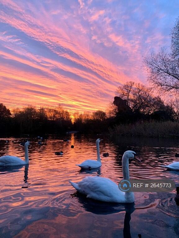 Winter Sunrise, Tooting Bec Common
