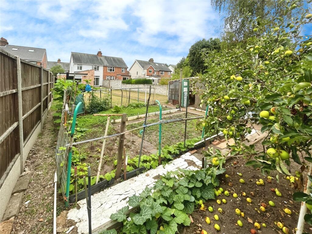 Vegtable Plot