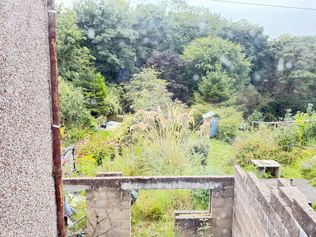 IMG 0791 T202507290959.jpg